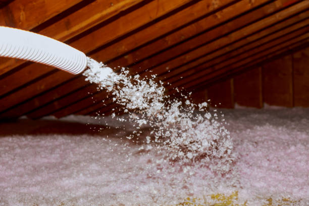 Best Commercial Insulation in Valley Falls, SC